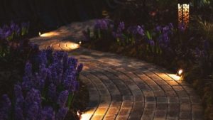 garden lit by moonlight